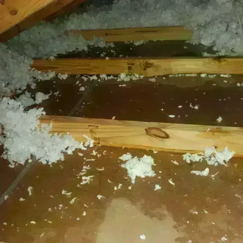 Attic Water Damage in Canterbury, NH